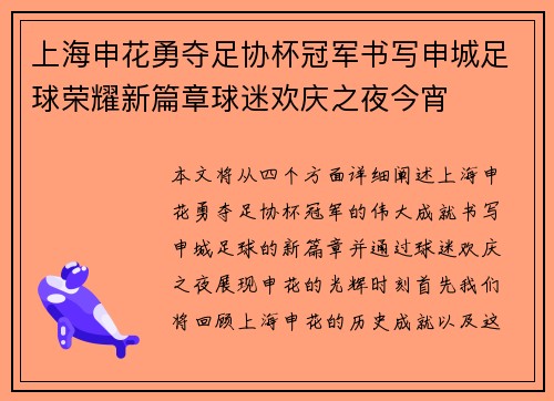 上海申花勇夺足协杯冠军书写申城足球荣耀新篇章球迷欢庆之夜今宵